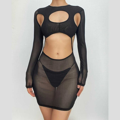 Long Sleeve Hollow Out Sheer Mesh See Through Cut Out Mini Dress