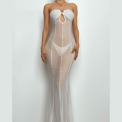 Mesh See Through O Ring Hollow Out Backless Tube Cut Out Maxi Dress