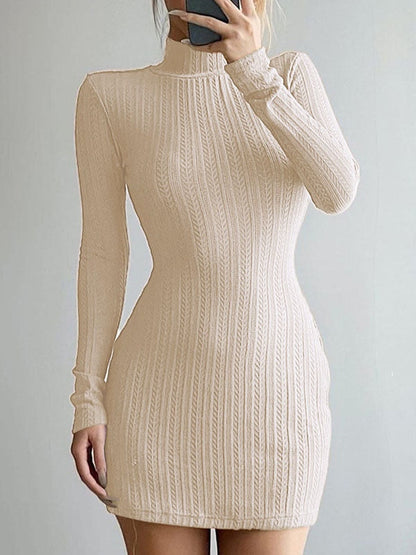 High Neck Long Sleeve Mini Dress