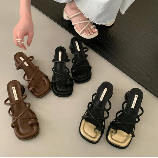 binfenxie Luxury Designer Summer Women Slippers Fashion Elegant Narrow Band Slides Shoes Ladies Outdoor Clip Toe High Heel Sandalias