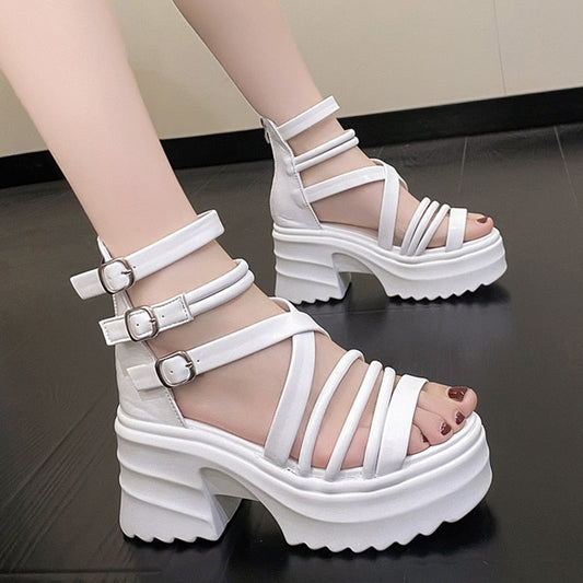 Women's Fashion Ankle Strap Wedges Sandals Platform Chunky Heel Sandals for Women Summer Thick Bottom Gladiator Shoes Woman