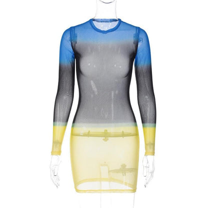 Contrast Sheer Mesh See Through Long Sleeve Crewneck Mini Dress