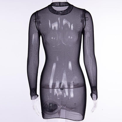 Sheer Mesh See Through Solid Long Sleeve Mini Bodycon Dress